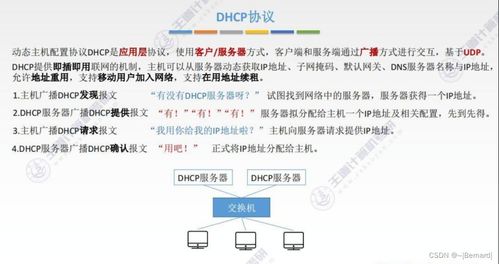 王道考研計算機網(wǎng)絡第四章知識點匯總 計算機網(wǎng)絡技術的開發(fā)